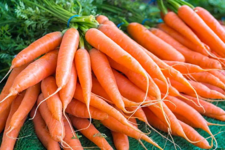 EastFruit: В Узбекистане дорожает прошлогодняя морковь, а новый урожай уже на прилавках