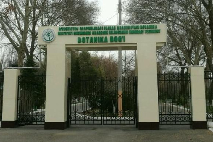 С 1 апреля в Ботаническом саду в Ташкенте можно будет передвигаться только пешком