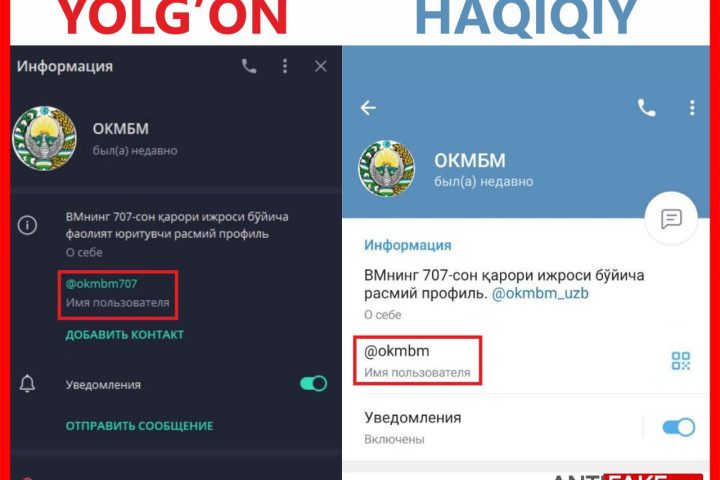 Администраторам некоторых интернет-ресурсов рассылают фейковые уведомления от имени центра АИМК