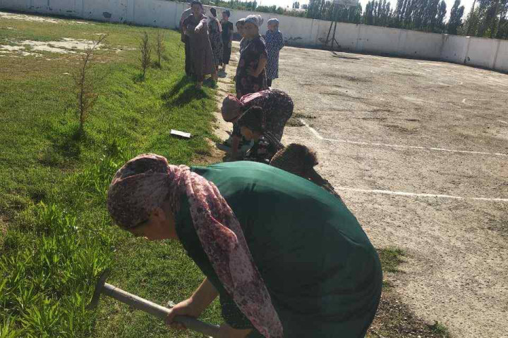 В Наманганской области учителям грозили увольнением за нежелание убирать школу