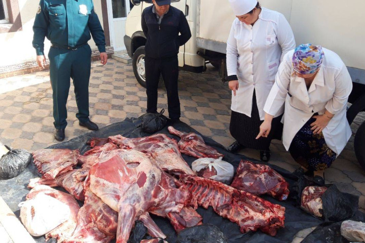 Из Бухары в Ташкент попытались ввести тонну непригодной мясной продукции