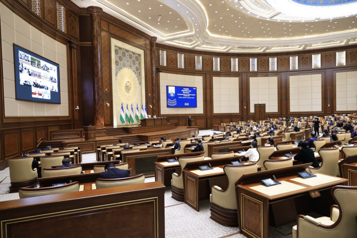 Сенат определил приоритетные задачи по борьбе с преступностью и предупреждению коррупции