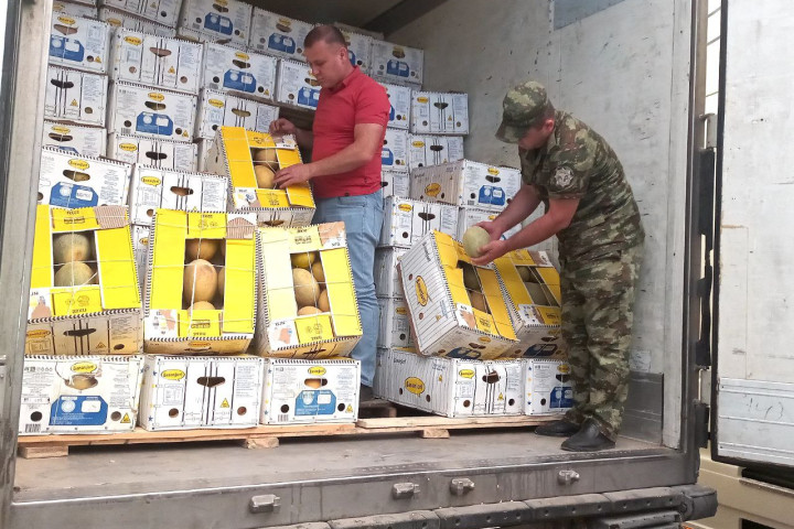 Сырдарья приступила к экспорту ранних сортов дынь