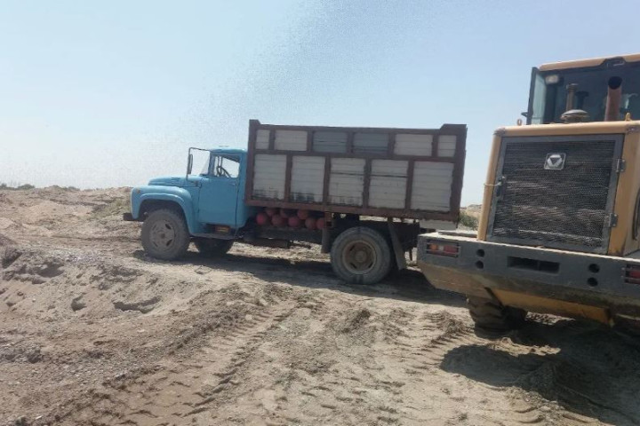 В Бекабадском районе природе нанесли ущерб на сумму почти 17 млрд сумов