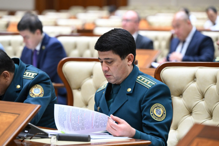 Сенат одобрил перевод умышленного легкого телесного повреждения в категорию административного правонарушения