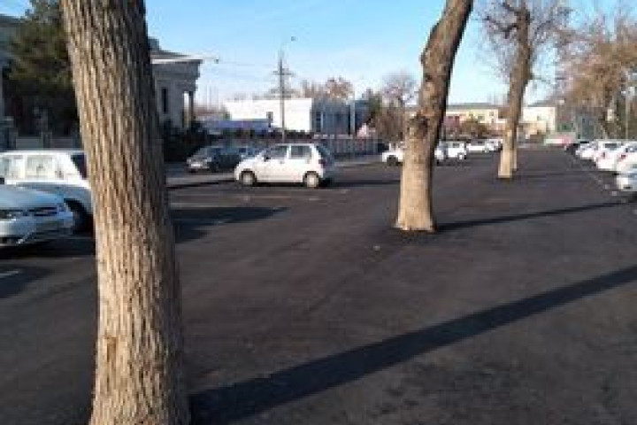 В Алмазарском районе столицы деревья «закатали» в асфальт