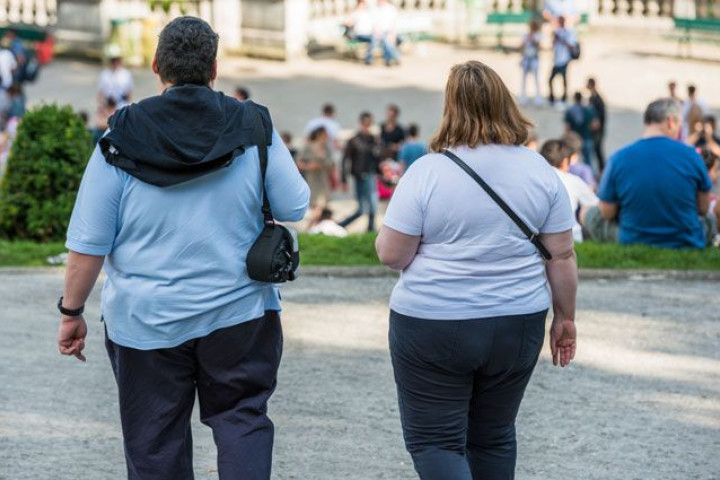 Lancet: К 2050 году более половины взрослого населения планеты будет иметь избыточный вес или ожирение