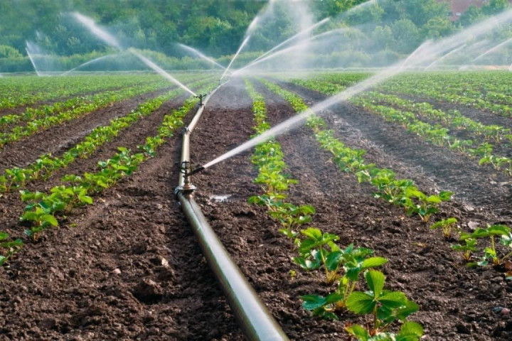 В Узбекистане к 2028 году планируют довести площадь земель с водосберегающими технологиями до 3,5 млн гектаров