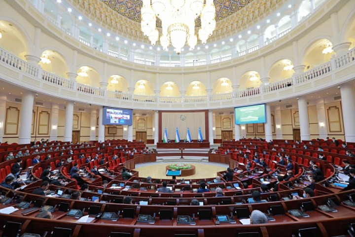 С начала 2021 года свыше 4 тысяч граждан и ответственных лиц уличены в нарушении моратория на вырубку деревьев