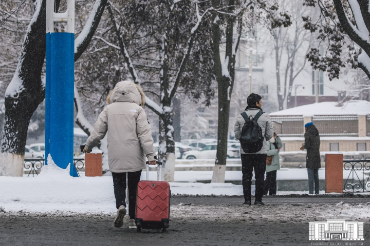 В Узбекистане для студентов вузов вводят 50-процентные скидки на поезда в дни зимних каникул