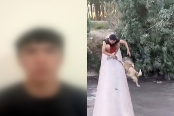 В Самаркандской области подросток сбросил щенка в канал. Прокуратура проводит доследственную проверку