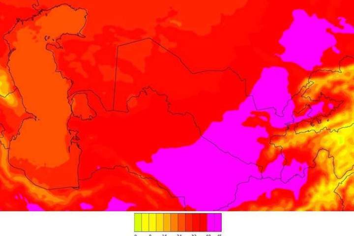 В Узбекистан идёт жара до +46°: жителям рекомендуют соблюдать меры предосторожности