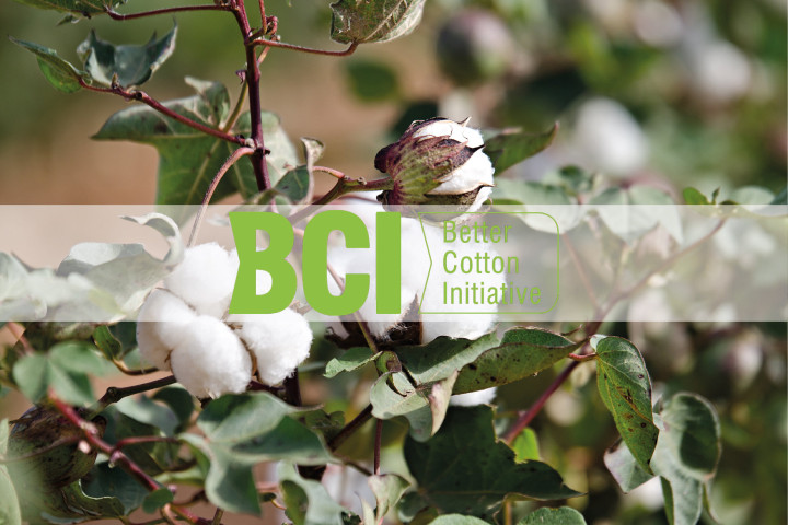 Better Cotton Initiative планирует открыть представительство в Ташкенте
