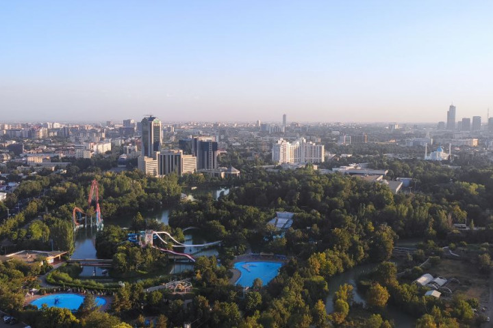В Ташкенте и на прилегающих территориях площадь зеленых зон увеличат в 3 раза - до 25 тысяч гектаров