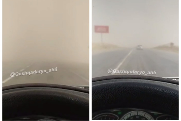 В пустынях Кашкадарьи наблюдается сильная пыльная буря