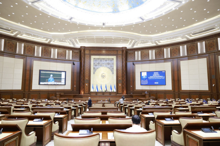 Сенат: Основанием для досрочного прекращения полномочий парламентариев станет отсутствие трудовой дисциплины