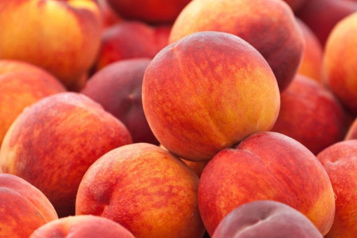 EastFruit: в Узбекистане за месяц цены на персики и нектарины упали в 2,5 раза