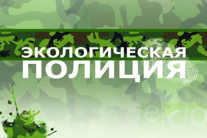 В Ташкенте и регионах создается экополиция, мораторий на вырубку продлевается до 2024 года, а ответственность ужесточается