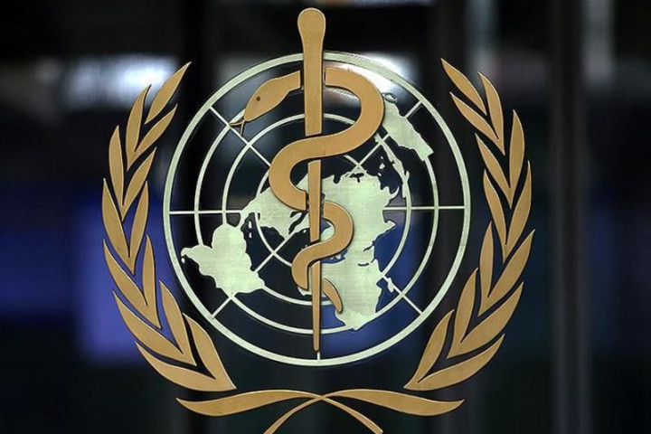 ВОЗ утвердила новый термин mpox в качестве синонима оспы обезьян