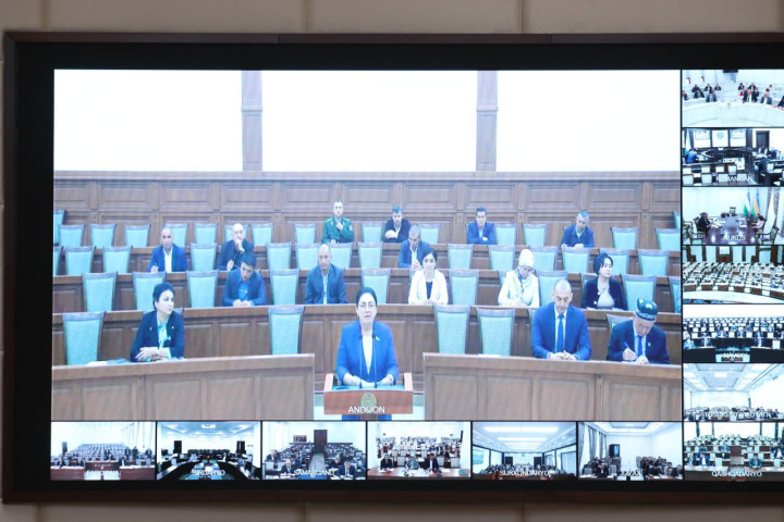 Сенат одобрил поправки в Уголовный кодекс по усилению наказания за коррупционные преступления