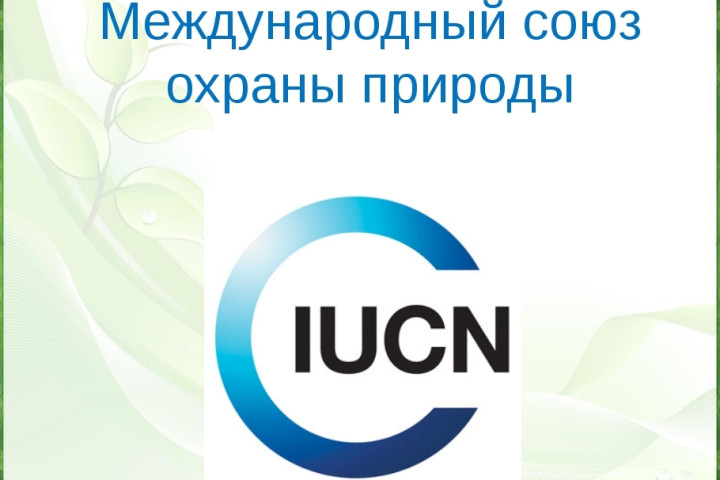 Узбекистан вступил в Международный союз охраны природы