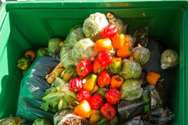 ООН: Ежегодно выбрасывается около 1 млрд тонн продуктов питания