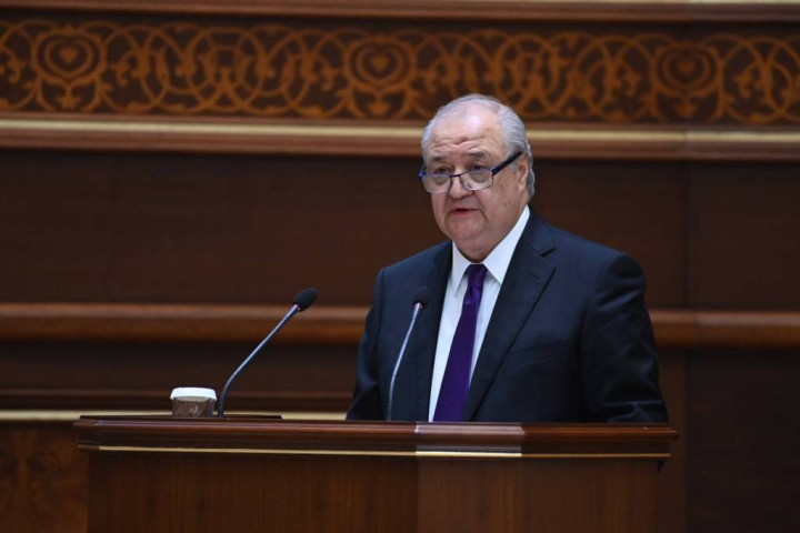 Глава МИД выступил на пленарном заседании Сената и ответил на вопросы по ситуации в Украине