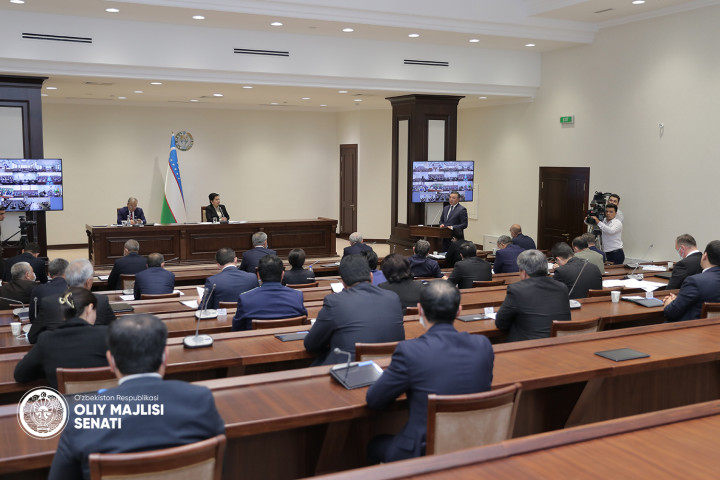 Сенаторы раскритиковали работу некоторых органов по поддержке детей-сирот