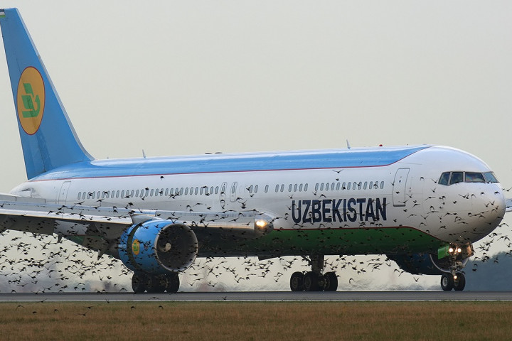 Uzbekistan Airways увеличивает число внутренних авиарейсов