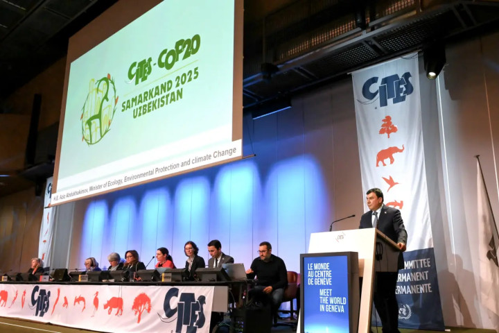 Узбекистан представил в Женеве официальный логотип CITES COP20В