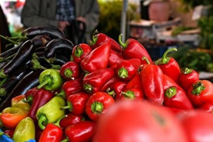 Казахстан станет частью агрологистического коридора «Россия – Узбекистан»