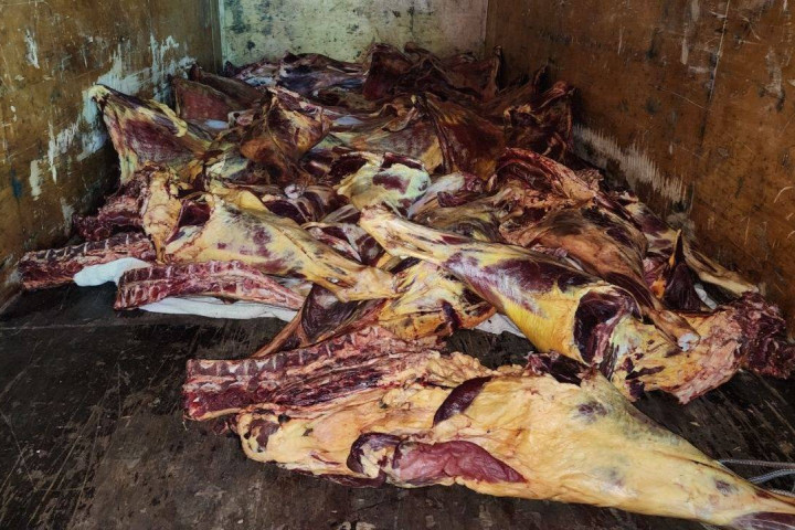 В Сырдарье выявлен 941 кг мяса неизвестного происхождения