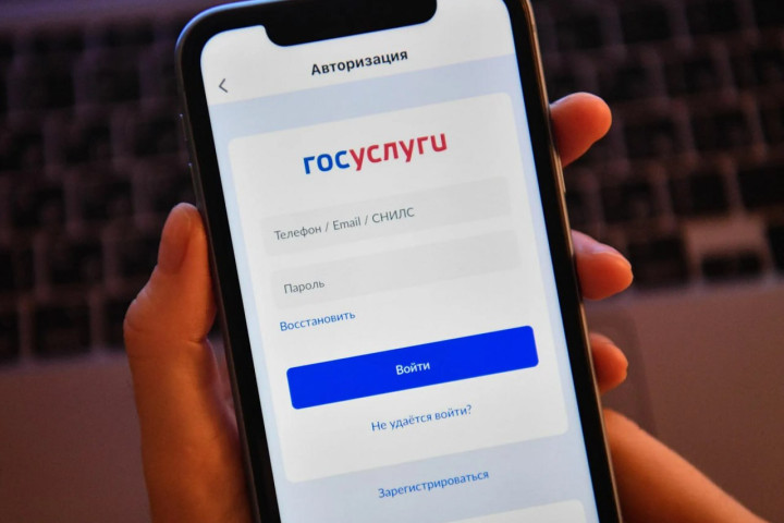 Гражданина Узбекистана задержали в России за взлом аккаунтов «Госуслуг»