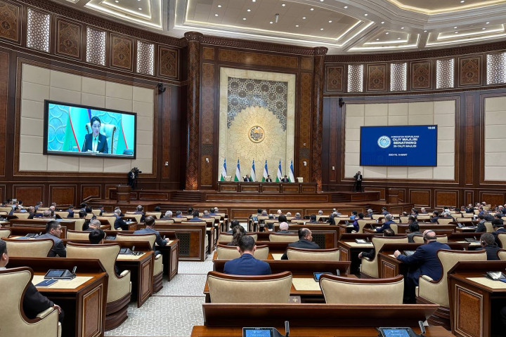 Сенат одобрил решение провести 30 апреля референдум по Конституции