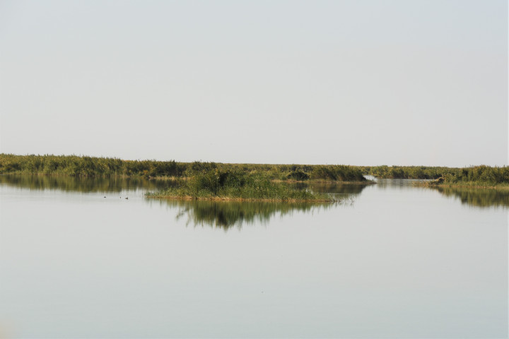 Озеро Жылтырбас в Каракалпасктане включено в список водно-болотных угодий международного значения