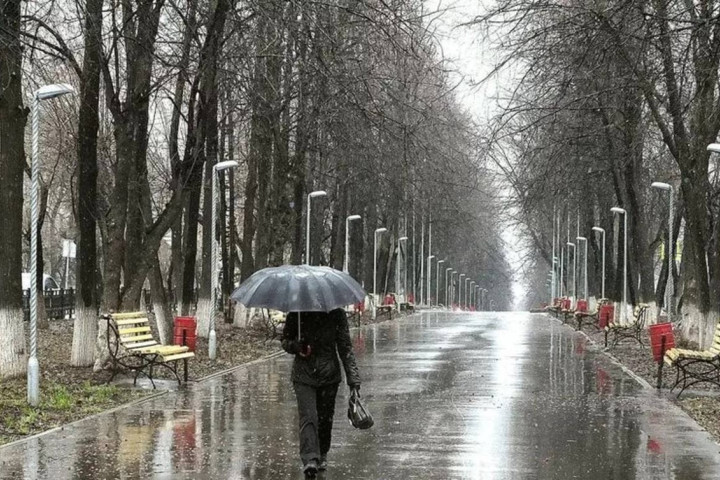 Утепляемся: в Узбекистане на следующей неделе ожидаются морозы, осадки и ветер
